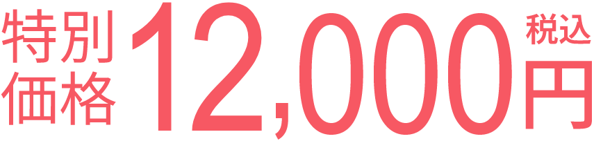 特別価格 12,000円（税込）